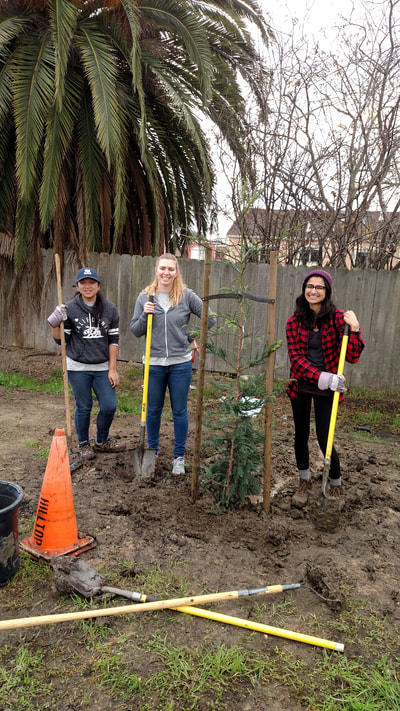 Tree planting on AmeriCorps Day of Service